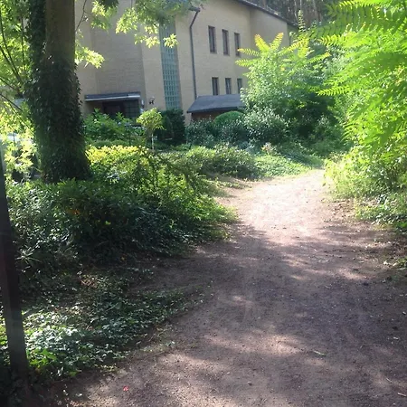 Apartment Im Gruenen Mit Terrasse Und Garten - Gratis Therme Bad Bevensen